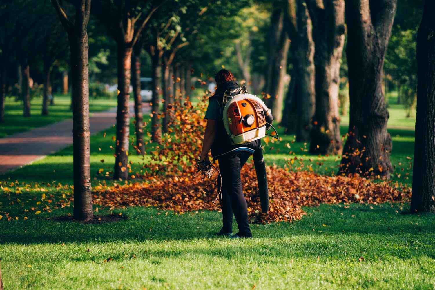  River Ridge, FL TreeGuard Tree Service Pros